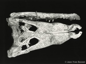 Marché aux Fétiches 13.jpg